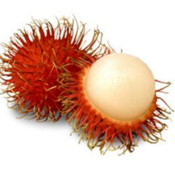 Whole Rambutan For Export Us 100% Organic Fast Delivery Viet Tropical Fruit Carton Box From Vietnam Manufacturer 8