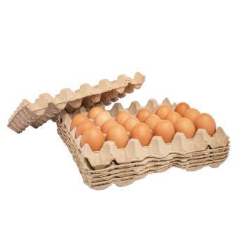 New Design Vietnam Egg tray 30 cells Hot selling paper pulp molding paper trayProduct customize Packaging Made In Vietnam 2