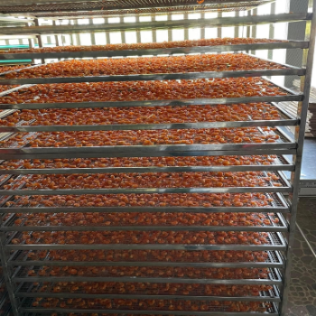 Dried Sea Shrimp All Organic No Sugar Dried Sea Shrimp Black Tiger Shrimp Frozen Shripms For Sale Best Selling 5