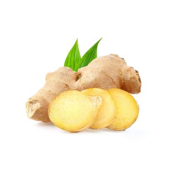 Fresh Ginger 100% Natural Ginger Synthetic Wig Silver Ginger Jars Ginger Fresh Ginger Grinding Machine PVC Ginger Box Vietnam 1