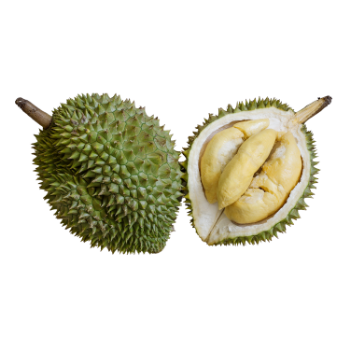 Durian Organic Variety New Crop Using For Many purposes TCVN packing in carton from Vietnam Manufacturer 1