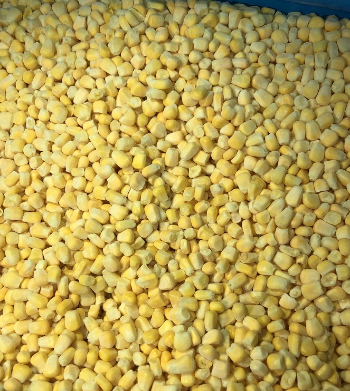 Frozen Corn Vegetables And Fruits High Quality Cheap Price Follow the Customer's Requirement from Vietnam Manufacturer 2