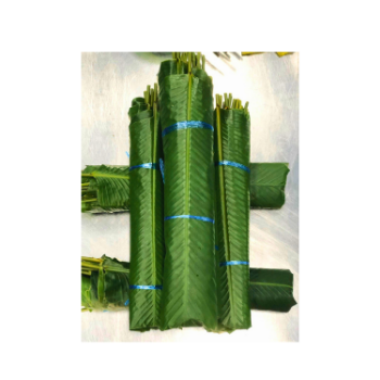 Fresh Banana Leaf For Food Stuff Replace To Plastic Bag Eco Friendly Wrapping Food Biodegradable Supplier New Crop Bulk Vietnam 4