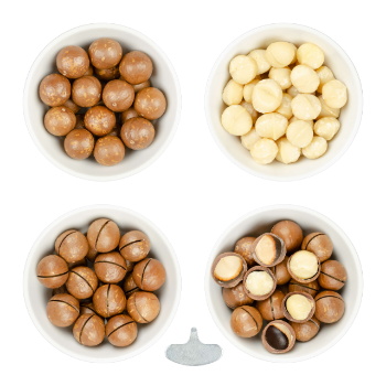 Wholesales Premium Grade High Quality Macadamia Nuts With Shell Raw Organic Bulk Nuts Macadamia Nuts From Vietnam Manufacturer 3