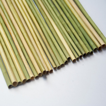 Wholesale Dried eagle grass straws 15cm for Beverage Store Eco-friendly lightweight eagle grass drinking Straw in Viet Nam 2