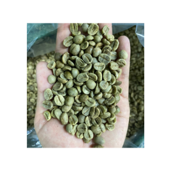 Wholesale Arabica Vietnam Top Grade Caffeinated Healthy Drink Low MOQ Best Price For Export Hot Selling Brand Wholesale 5