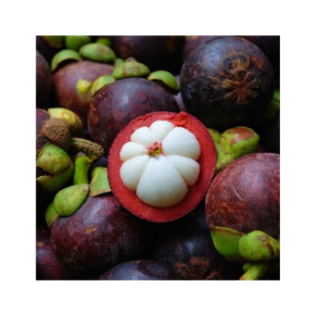 High Quality Fresh Mangosteen 100% Natural Organic Good For Health Packed In Box Made In Vietnam Manufacturer 5