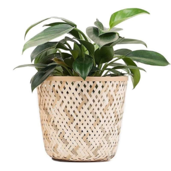 Planter Pot Wholesale Woven Bamboo Planter Pot VNGT001 Handicraft Rattan Basket Standing Sustainable Household Indoor Vietnam Manufacturer 2