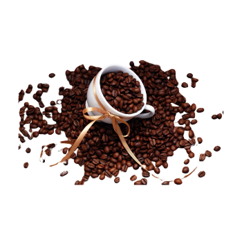 Arabica Coffee Beans Roasted Coffee Bean Price Wholesale S18 Raw Bitterness Premium Vietnamese Caffeine Made In Vietnam 1