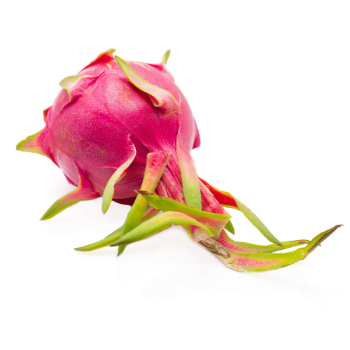 Newest Crop Hot Selling Natural Sweet Fresh Dragon Fruit From Phuc An Competitive Price Ready To Export Vietnam Manufacturer 3