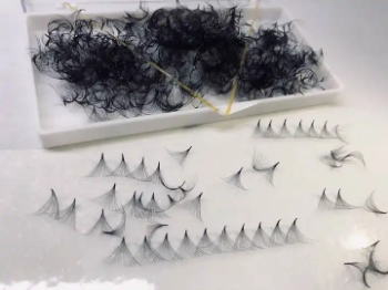 500 Fans Loose Fans Pointy Root Slim Thin Base 0.05 0.07 4D 5D 6D 8D Volume Premade Fan Lashes 1