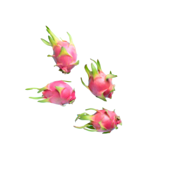 Fresh White Dragon Fruit Hot Selling Natural Sweet Using For Food Good Quality Packing In Carton Vietnam Manufacturer 6