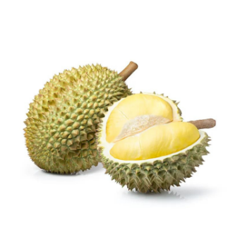 Hot Item Fresh Durian Monthong Eat Directly Sweet And Fatty Taste Organic Packed In Box Vietnam Manufacturer 7