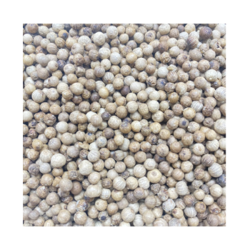 Marinade Raw White Pepper Bulk Sales Using For Food Organic Chili Customized Packing Vietnam Manufacturer 5