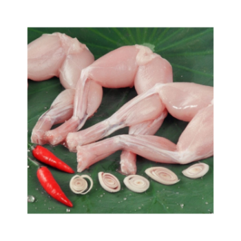 The New Frog Legs Skin Removed 100% Fresh 2023 Vaccum From Vietnam Manufacturer 6