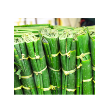 Fresh Banana Leaf Wrapping Food For Food Stuff Replace To Plastic Bag Biodegradable Supplier New Crop Made In Vietnam Bulk 5