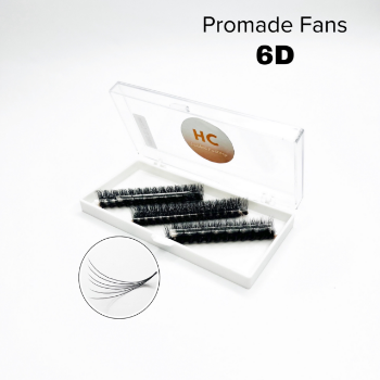 6D Promade 1000 Fans volume eyelash extension OEM No Irritation using for beauty pack in tray or box Vietnam Manufacturer 2