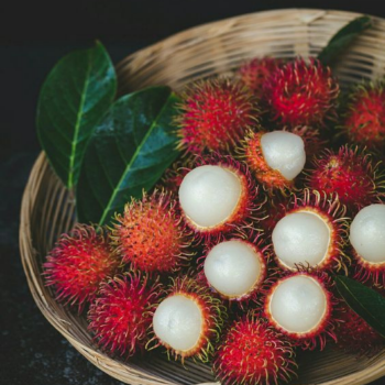 Rambutan Healthy Haccp Fast Delivery Viet Tropical Fruit Customized Packaging Made In Vietnam Manufacturer 3