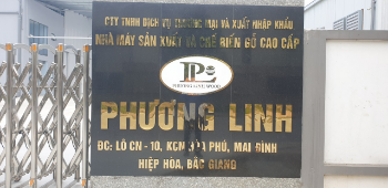 PHUONG LINH IMPORT EXPORT AND TRADING SERVICES COMPANY LIMITED