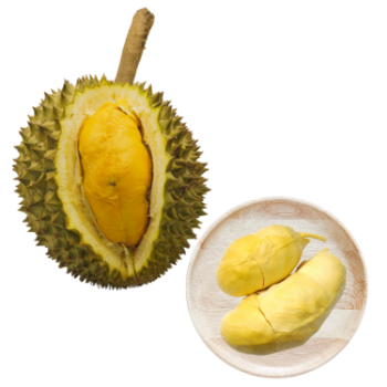 Durian Organic Variety New Crop Using For Many purposes TCVN packing in carton from Vietnam Manufacturer 3