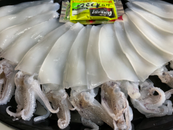 Squid Sugata Price Of Fresh Squid Good Price New Using For Food Iso Pack In Foam Tray Asian Manufacturer 3