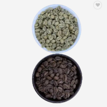 Roasted Arabica Dark Roast Coffee Beans S16 Wash Process Earthy Smoky Dark Chocolate Di Linh Highland Lam Dong Vietnam 2