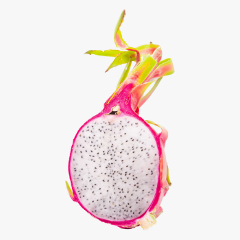 Customized Packing Fast Delivery Dragon Fruit Red Flesh Fruit For Rice-Paper-Making Health Farm From Vietnam Manufacturer 1