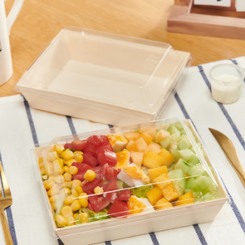 Trapezoidal Storage Box Good Quality Biodegradable Takpak Brand Wood Bento Box With Clear Window Take Out Food Sushi Box 5