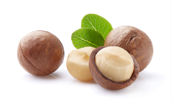 Macadamia Nuts With Shell Premium Grade High Quality Raw Organic Bulk Nuts Macadamia Nuts Wholesales From Vietnam Manufacturer 8