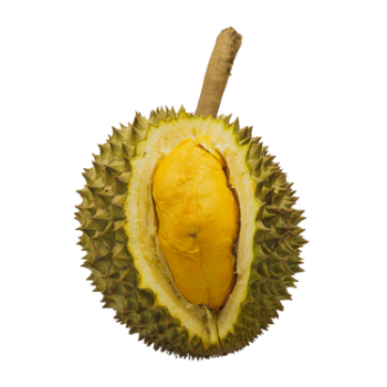 Durian Fresh Fruit High Specification Tropical Fruit using for many purposes TCVN packing in carton Made in Vietnam Manufacturer 5