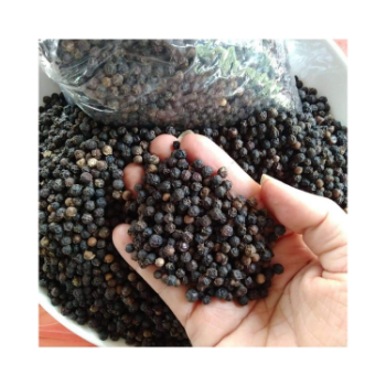 Hot Selling Black Pepper Good Price Good Quality Use For Cooking Wholesale Price Customized Packaging Made In Vietnam 3