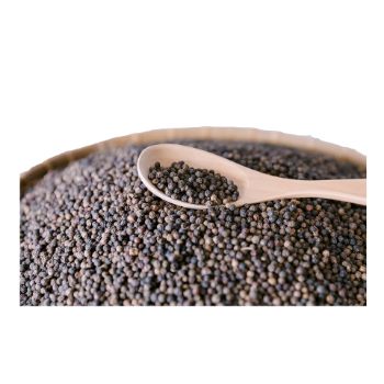 Black Pepper High Quality Marinade Using For Food Fast Delivery Export Sack Jumbo Bag Made In Vietnam Manufacturer