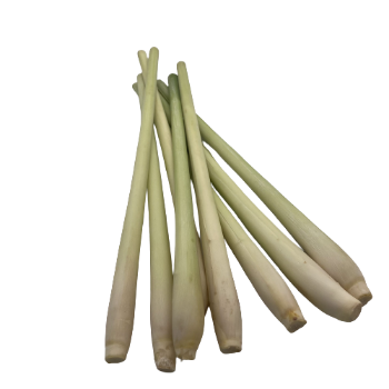 High Quality Lemongrass with HACCP Certificate Free Tax - Spices and Herbs Lemon Grass Best Price From VietNam 6