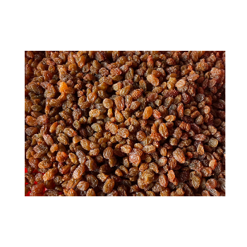 Factory Price Raisins Packaging Vietnam Manufacturer From Australian Raisin Grape Raisin Drying OEM ODM Service Dried Grape