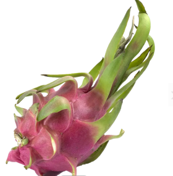 Vietnam Fresh Dragon Fruit High Quality Organic For Dessert Bulksales Carton Box Wooden Packaging Vietnam Manufacturer 1