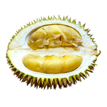 Durian Fruit For Sale Cheap Price New Crop using for many purposes TCVN packing in carton from Vietnam Manufacturer 6