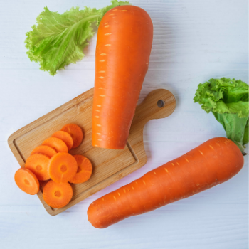 Fresh Carrot Fruit & Vegetable Products Good price Organic Follow the Customer's Request Made in Vietnam Manufacturer 2