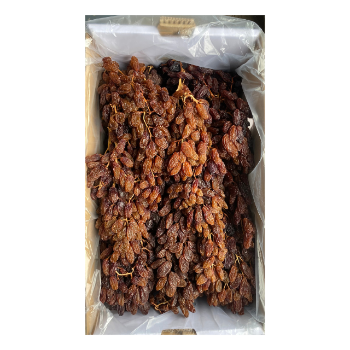 Premium Products Raisins Packaging In Vietnam OEM ODM Service Dried Grapes Manufacturer From Australian Raisin Grape Drying