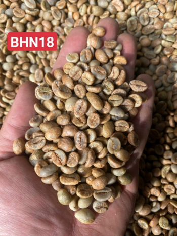 Black Honey Robusta Coffee Green Bean Top Grade 100% Organic Drinkable ISO220002018 60 kg bag Vietnam Manufacturer 4