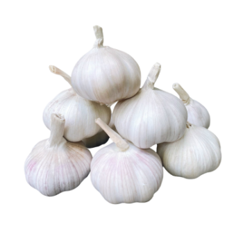 Fast Delivery Garlic Used As A Seasoning For Dishes 100% Dried Garlic Organic Packed In Box Vietnam Manufacturer 7