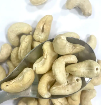 Cashew Nuts W240 Professional Team Export Food High Protein Customized Packaging From Vietnam Trading 6