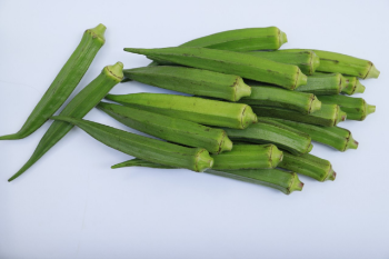 Fresh Okra Variety Natural Taste Using For Many Purposes TCVN packing in carton from Vietnam Manufacturer 6