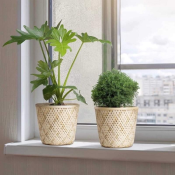 Planter Pot Wholesale Woven Bamboo Planter Pot VNGT001 Handicraft Rattan Basket Standing Sustainable Household Indoor Vietnam Manufacturer 3