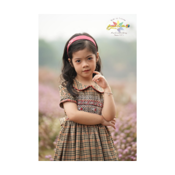 Western Brown Plaid Smock Dress Girls Party Dresses Princess Children Cheap Price Luxury Using For Baby Girl Baby 11