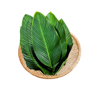 Dong Leaf Eco Friendly For Wrapping Banh Chung and Decorating Food For Food Stuff Replace To Plastic Bag Biodegradable Supplier 5