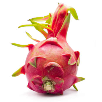 Hot Selling Natural Sweet Fresh Dragon Fruit From Supplier In Vietnam Competitive Price Ready To Export Vietnam Manufacturer 1