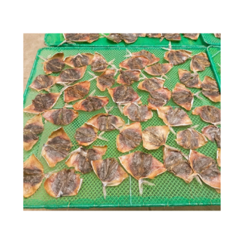 Dried Salted Fish Moon Fish Supplier Export Ly Huynh Tasty Vacuum Pack Made In Vietnam Manufacturer 1