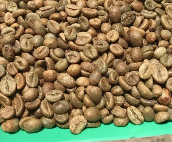 Robusta Coffee Grade 1 Coffee Beans Raw Best Selling Purity Using For Making Food And Beverage No Additives Packed In Bag 4