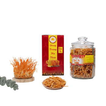 Dried Cordyceps Raw Cordyceps High Quality Nutritious Using For Drink ISO Packing In Jar Made In Vietnam Manufacturer 3