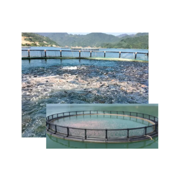 Floating Fish Cage High Quality Secure Aquatic Research Center Floating Round Cage Made In Vietnam Manufacturer 4